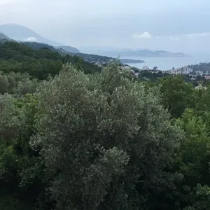 Отдельный дом в Сутоморе, фото 2