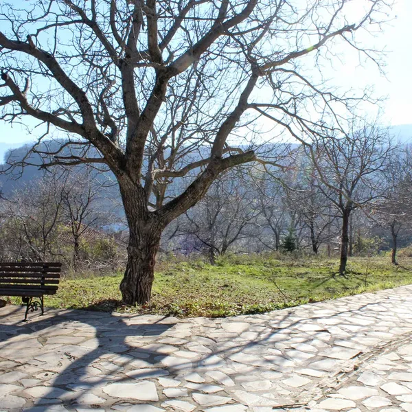 Земельный участок в Катерини, фото 1