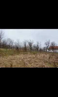 Земельный участок в Кралево