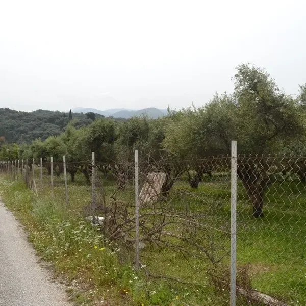 Земельный участок в Corfu, фото 1