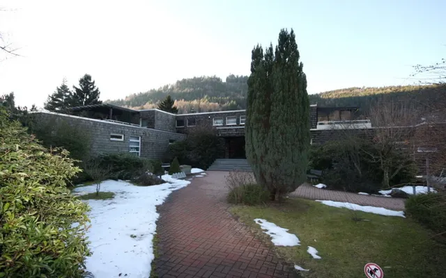 Квартира в Плохой дикий
