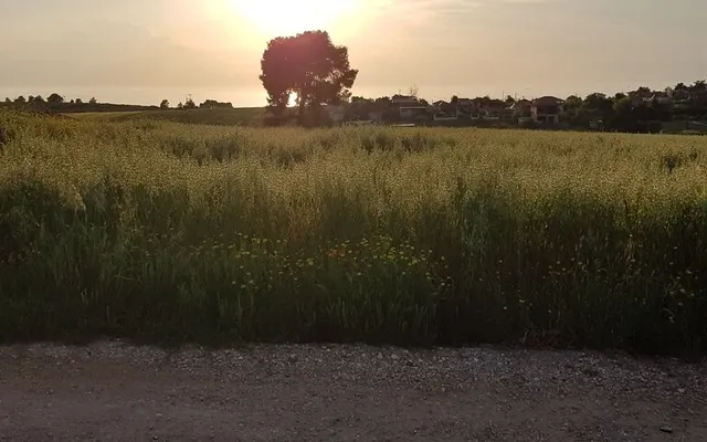 Земельный участок в Kassandra Municipality