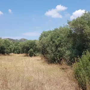 Земельный участок в Kassandra Municipality, фото 2