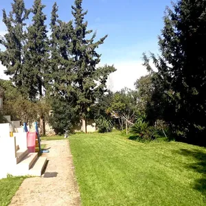 Вилла в Неа Макри, фото 3