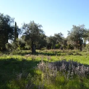 Земельный участок в Corfu, фото 5
