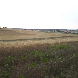 Земельный участок в Kassandra Municipality, фото 3
