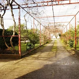 Отдельный дом в Бар, фото 3