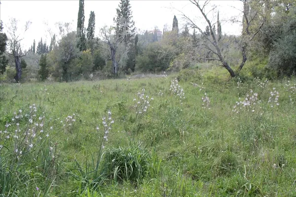 Земельный участок в Corfu