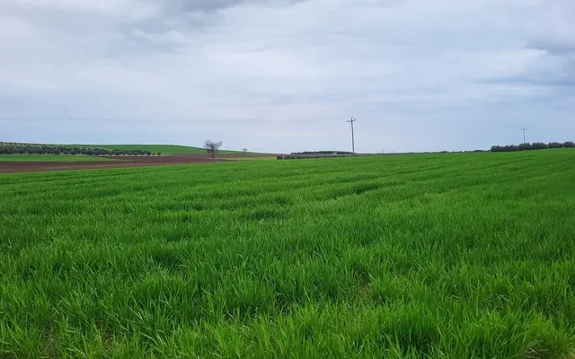 Земельный участок в Kassandra Municipality