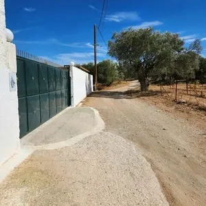 Отдельный дом в Коропи, фото 2