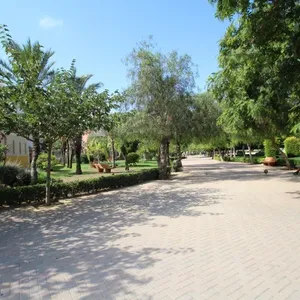 Квартира в Торревьеха, фото 5