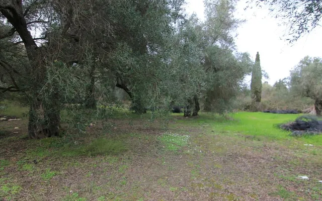 Земельный участок в Corfu