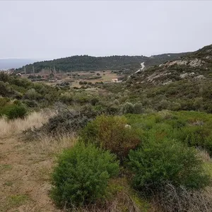 Земельный участок в Ситониа, фото 4