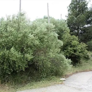 Земельный участок в Ситониа, фото 3