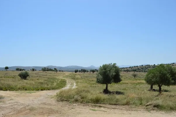 Земельный участок в Спата