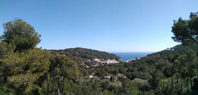 Квартира в Тамариу