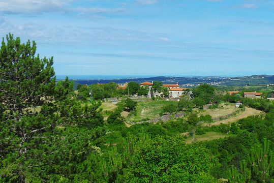 Земельный участок в Ново место