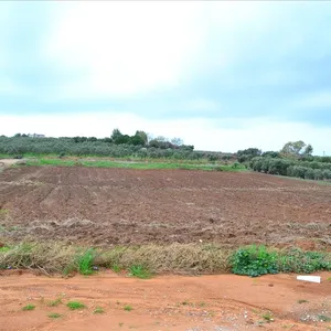 Земельный участок в Kassandra Municipality, фото 4
