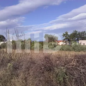 Земельный участок в Каллифея (Кассандра), фото 3