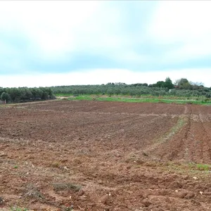 Земельный участок в Kassandra Municipality, фото 2