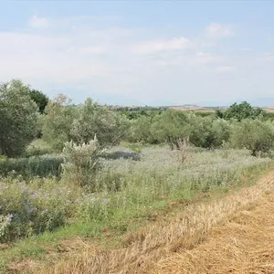 Земельный участок в Κολινδρός, фото 4