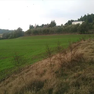 Земельный участок в Kassandra Municipality, фото 3