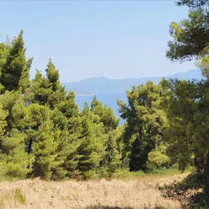 Земельный участок в Kassandra Municipality, фото 4