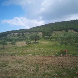 Земельный участок в Kassandra Municipality, фото 4