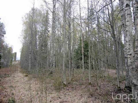 Земельный участок в Тайпалсари