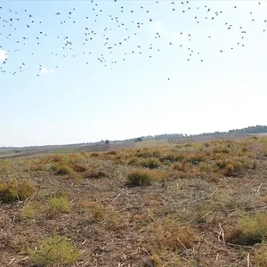 Земельный участок в Kassandra Municipality, фото 3
