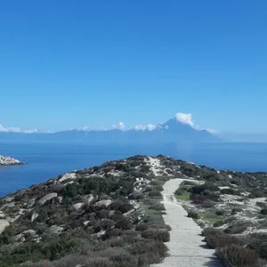 Земельный участок в Ситониа, фото 4