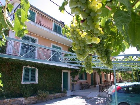 Коммерческая недвижимость в Порторож