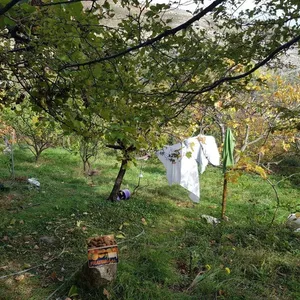 Дом в Сутоморе, фото 5