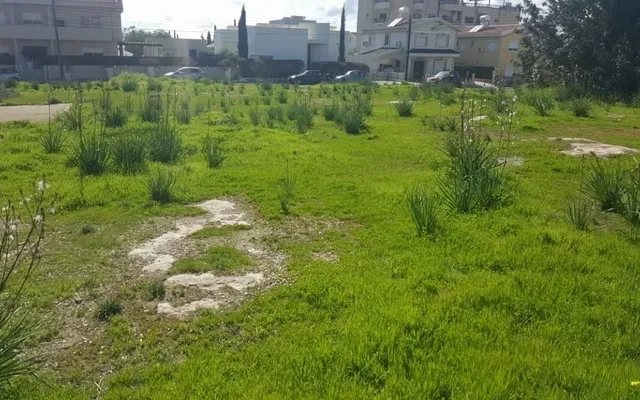 Земельный участок в Лимассол