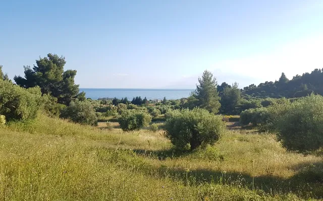 Земельный участок в Kassandra Municipality