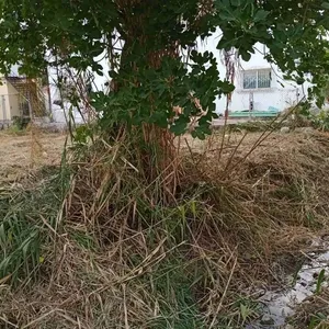 Земельный участок в Corfu, фото 5