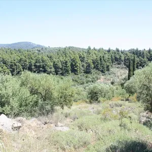Земельный участок в Ситониа, фото 4