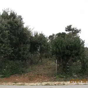 Земельный участок в Вир, фото 2