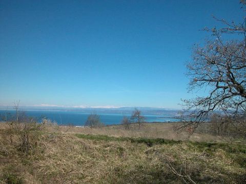 Земельный участок в Изола