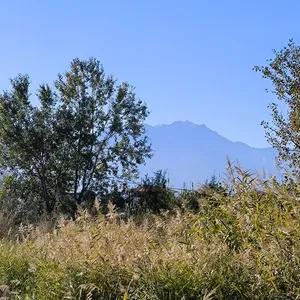 Земельный участок в Катерини, фото 3