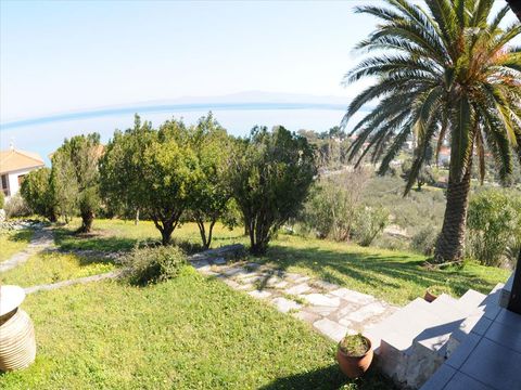 Таунхаус в Каллифея (Кассандра)