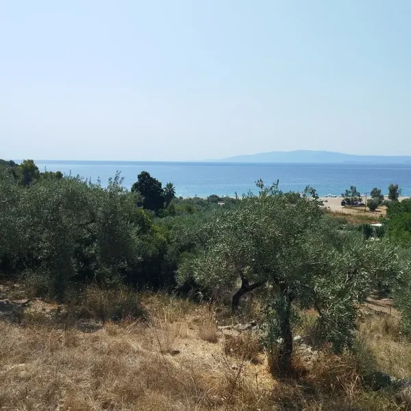 Земельный участок в Aristotle University of Thessaloniki, фото 1
