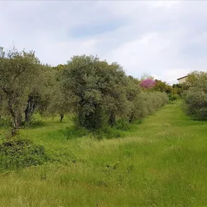 Земельный участок в Эгейские острова, фото 2