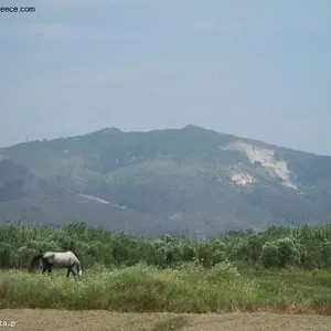 Земельный участок в Каламаки, фото 2