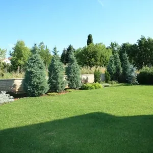Вилла в Медулин, фото 3