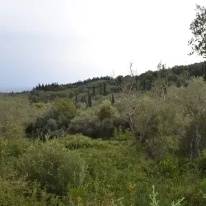 Земельный участок в Corfu, фото 2
