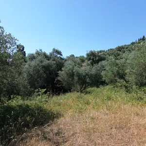 Земельный участок в Corfu, фото 5