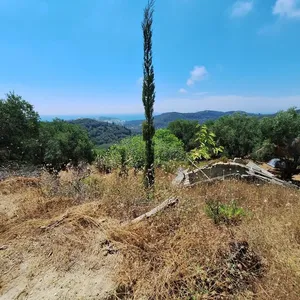 Земельный участок в Corfu, фото 3