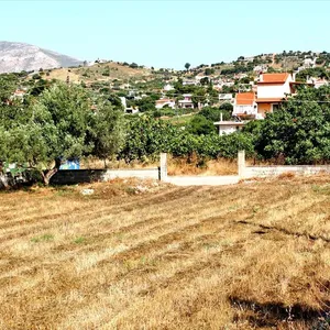 Земельный участок в Коропи, фото 3