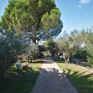 Отдельный дом в Ситониа, фото 2